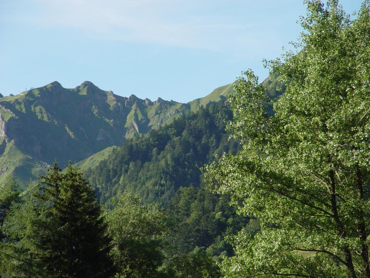Hotel Le Progres Dorlotel Le Mont-Dore Eksteriør bilde